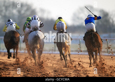 L'action des plus grands gains avec SP+ à totesport.com Standard Ouvrez NH Flat Race Banque D'Images