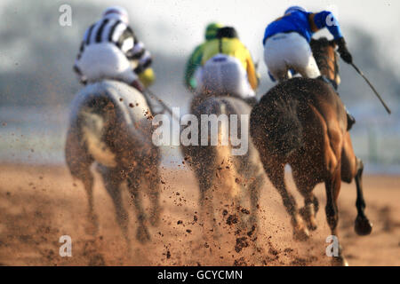 Les courses de chevaux - Southwell Racecourse Banque D'Images