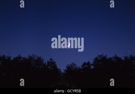 Lune sur le ciel pendant la nuit, dans le noir profond de la forêt. Banque D'Images