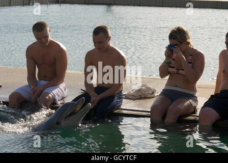 Sanctuary Bay, Grand Bahama. Bahamas. UNEXSO. Nager programme et rencontre avec les dauphins. Banque D'Images