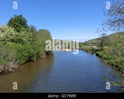 River Ettrick & Marais, vallée de l'Ettrick, Borders, Scotland, UK Banque D'Images