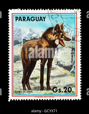 Timbre du Paraguay représentant un loup. Banque D'Images