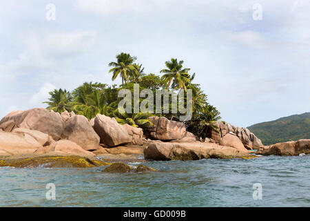 L'île Saint-pierre tropical à Seychelles Banque D'Images