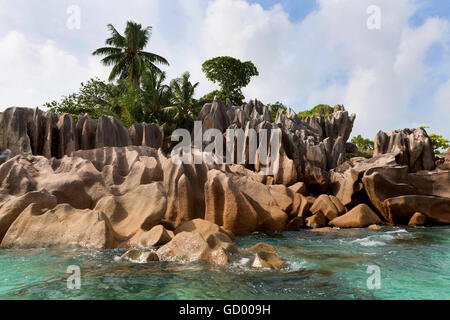 L'île Saint-pierre tropical à Seychelles Banque D'Images