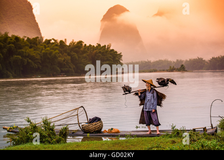 Cormoran pêcheur chinois traditionnel sur la rivière Li à Yangshuo, Chine. Banque D'Images