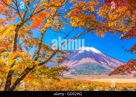 Mt. Fuji, au Japon, du lac Yamanaka en automne. Banque D'Images