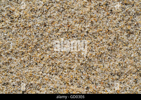 La texture des grains de sable Close-up Banque D'Images