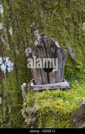 Ancienne maison d'oiseau, l'arbre couvert de mousse, le Loch Lomond, Ecosse Banque D'Images