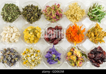 Diverses plantes séchées pour faire un thé parfait Banque D'Images
