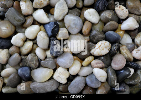 Assortiment de pebbles rocks Banque D'Images