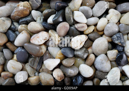 Assortiment de pebbles rocks Banque D'Images