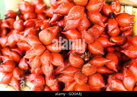 Zalacca, saveurs de fruits doux saisonnier traditionnel de la Thaïlande Banque D'Images