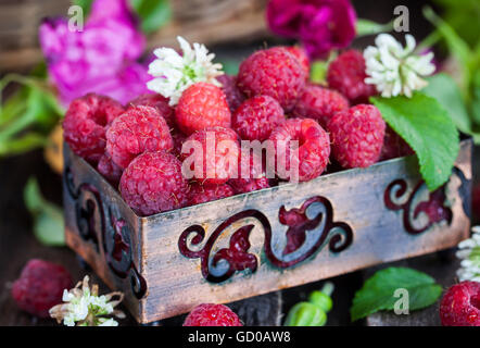 Produits frais bio framboise mûre en boîte avec fleurs d'arrière-plan sur Banque D'Images