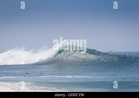 Les moussurfeurs nagent alors que de grandes vagues se brisent au Wedge Newport Beach California en juin 2016 Banque D'Images