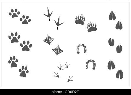 Empreintes d'animaux chat chien- patte, patte, patte d'ours, les oiseaux- pieds, pieds de canard poulet, fer à cheval, les sabots des artiodactyles- deer,Moutons,antilope girafe,,chèvre, vache, le lama, l'élan, pieds de grenouille. Vector illustration isolé Illustration de Vecteur