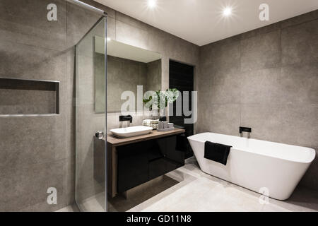 Salle de bains moderne avec douche et baignoire à remous y compris un miroir au mur à côté d'une usine près de fantaisie d'un robinet et évier sur le sol en bois Banque D'Images
