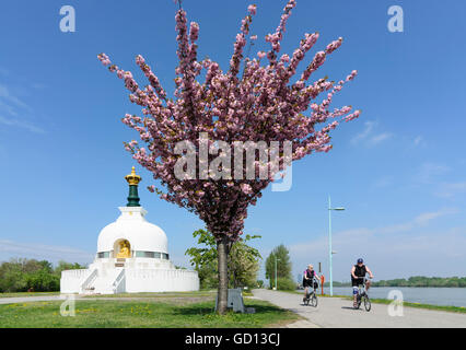 Wien, Vienne : Peace stupa bouddhiste pagode ( ), l'Autriche, Wien, 02. Banque D'Images