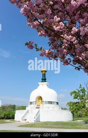 Wien, Vienne : Peace stupa bouddhiste pagode ( ), l'Autriche, Wien, 02. Banque D'Images