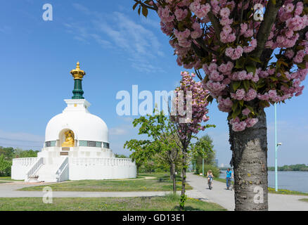 Wien, Vienne : Peace stupa bouddhiste pagode ( ), l'Autriche, Wien, 02. Banque D'Images