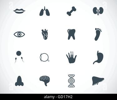 Anatomie noir Vector icons set Illustration de Vecteur