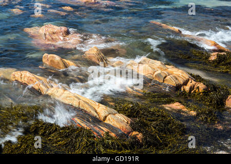 Une marée montante se précipite au-dessus de la mer sur la plage de rochers lissés, Yarmer Thurlestone, Devon, England, UK Banque D'Images
