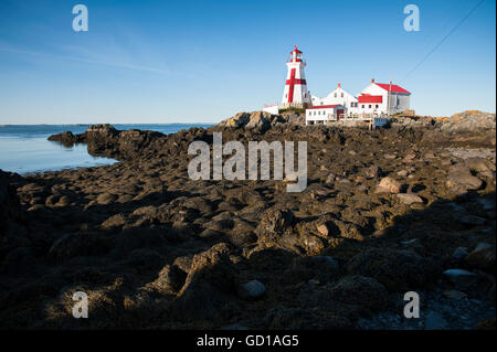 Phare de Head Harbour au Canada avec sa croix à marée basse. Les marées les plus faibles de la côte Est sont situés ici. Banque D'Images