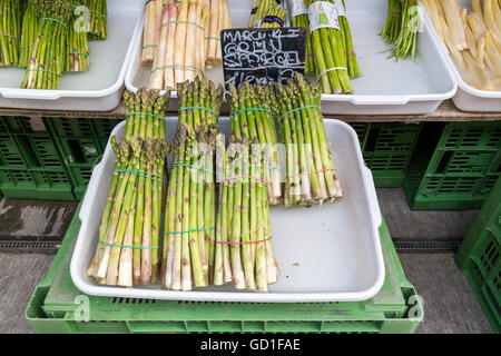 Les cadres de l'asperge fraîche affichée en position sur le marché Naschmarkt à Vienne, Autriche Banque D'Images