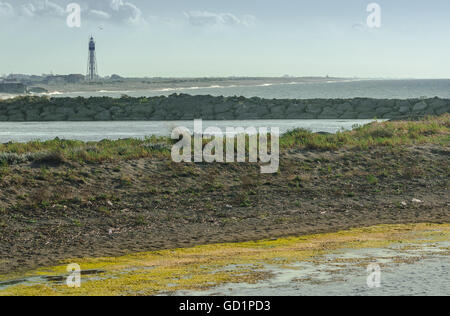 Les zones humides dans le delta Kizilirmak Province de la mer Noire de la Turquie Banque D'Images