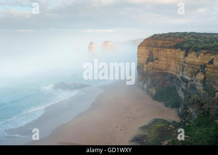 Carénages brouillard emblématique de l'Australie sur les douze apôtres Great Ocean Road Banque D'Images