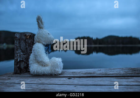 Fluffy toy bunny assis sur un quai. Rivage d'un lac de montagne Banque D'Images