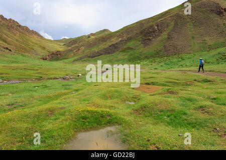 Randonneur dans un écrin de Yolyn Am (Yol ou Eagle Valley) avec des fleurs après la pluie d'été, le Parc National de Gurvan Saikhan, désert de Gobi, Mongolie Banque D'Images