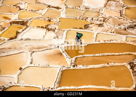 L'extraction du sel, femme Salineras de Maras Maras, salines, Vallée Sacrée, le Pérou, Amérique du Sud Banque D'Images