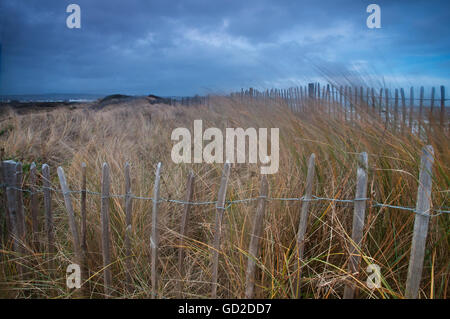 Image paysage de dunes balayées par les herbes et avec clôture weathered moody sky. Banque D'Images