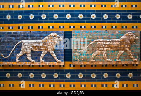 Beaux-arts, Dynastie babylonienne, relief d'un lion de la procession rue de Babylone, musée de l'ancienne culture orientale, musée archéologique, Istanbul, l'artiste n'a pas d'auteur pour être effacé Banque D'Images