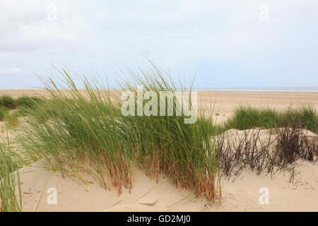Vue sur la plage de sable sur l'île allemande de Borkum Banque D'Images