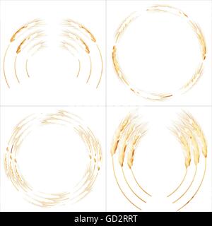 Ensemble de 4 épis de blé détaillées. EPS 10 Illustration de Vecteur