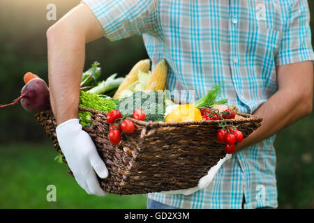 Panier rempli de légumes frais dans les mains d'un homme portant des gants Banque D'Images