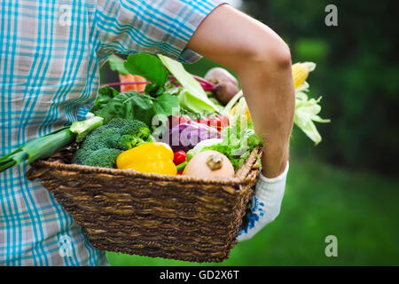 Boîte en bois rempli de légumes frais dans les mains d'un homme portant des gants Banque D'Images