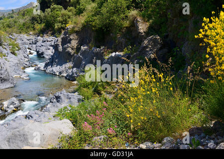 Gorges de l'Alcantara (CEM), Sicile, Italie Banque D'Images