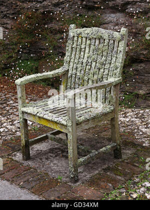 Un siège de jardin en bois ou une chaise couverte de lichen Banque D'Images