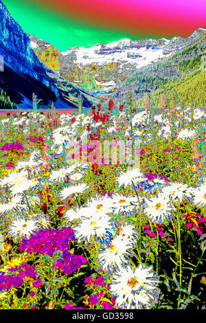 Fleurs dans parc de l'hôtel sur les rives du lac Louise, montagnes Rocheuses, Canada, jusqu'à vers le glacier Victoria. Comme tous les glaciers du Canada il s'estompe très rapidement en raison de changements climatiques. Banque D'Images