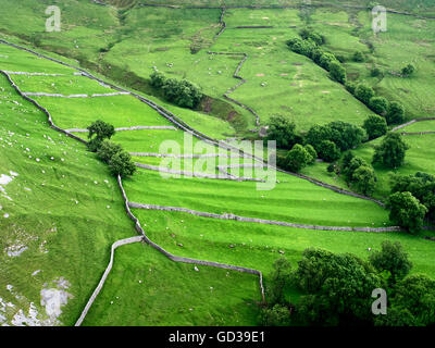 Les prairies et les murs en pierre sèche de dessus Gordale Scar près de Malham Yorkshire Dales England Banque D'Images