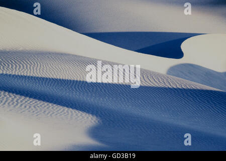 Télévision Mesquite Sand Dunes, motifs de lumière sur les dunes de sable. Banque D'Images