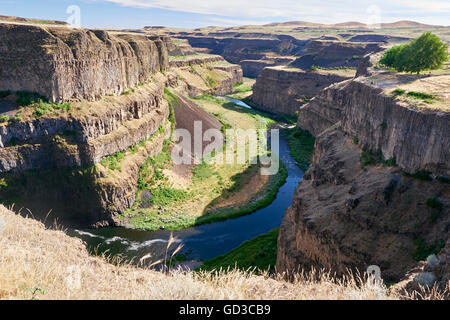 Un canyon, à côté de 'chutes Palouse' - State Park, Washington, USA Banque D'Images