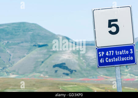 Vue de la route signe de castelluccio di norcia avec l'Italie et la fleur des champs sur backgroundduring d'une journée ensoleillée. Banque D'Images