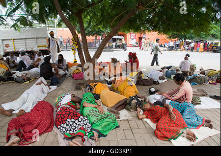 Les dévots dormir sous arbre, Nasik, Maharashtra, Inde, Asie Banque D'Images