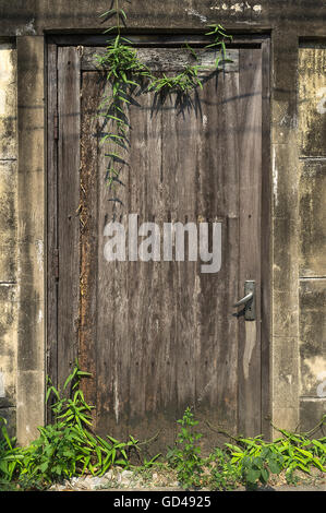 Vieille porte en bois avec mur de briques texture background et de l'herbe. Banque D'Images