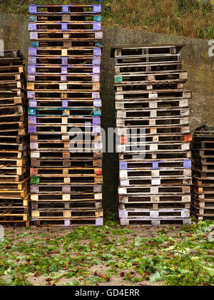 Couches de vieilles palettes sur terrain herbeux Banque D'Images