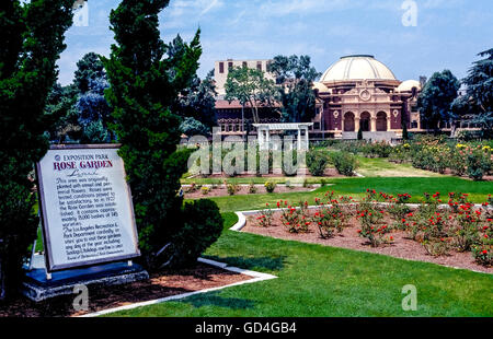 Ce jardin de roses a commencé dans les années 1920 lorsque 15 000 rosiers de 145 variétés ont été plantés dans le parc d'exposition à Los Angeles, Californie, USA. Aujourd'hui, c'est une belle et véritable oasis de tranquillité au cœur de cette métropole. Les 7,5 hectares de jardin attire des milliers de visiteurs chaque année et a été protégée de l'urbanisme par adjonction à l'US National Register of Historic Places en 1991. Le jardin est ouvert sans frais, sauf lorsqu'il est fermé pour l'élagage rose annuelle du 1 janvier au 15 mars. Le dôme à l'arrière-plan est le musée d'histoire naturelle du comté de Los Angeles. Banque D'Images