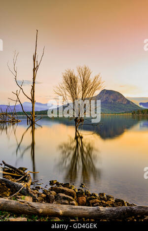 Arbres se reflétant sur le lac Moogerah juste après le coucher du soleil Banque D'Images